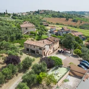 Il Cantinoccio , Cerasolo Italien